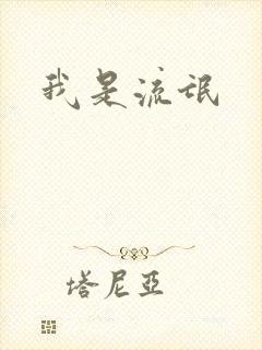 我是流氓封面