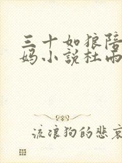 三十如狼陪读妈妈小说杜雨馨封面