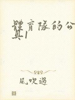 体育队的公用玩具1
