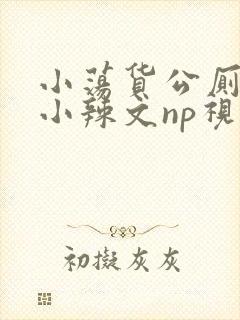 小荡货公厕h文小辣文np视频