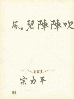 风儿阵阵吹封面