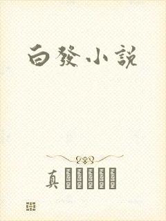 白发小说