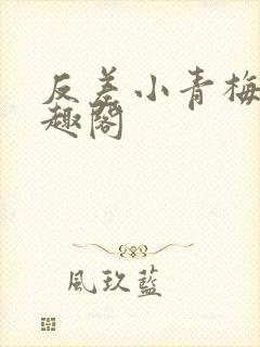 反差小青梅 笔趣阁