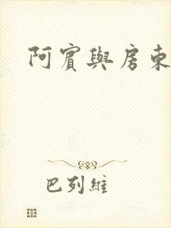 阿宾与房东太太封面