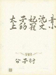 太子妃沈音和皇上的宠文小说