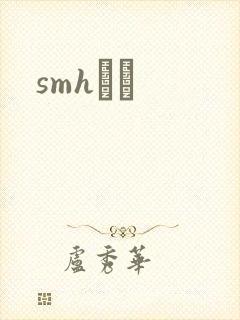 smhС˵封面