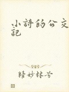 小诗的公交车日记