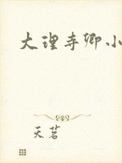 大理寺卿小说
