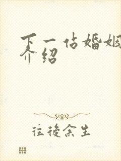 下一站婚姻剧情介绍