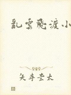 乱云飞渡小说