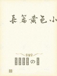 长篇黄色小说封面