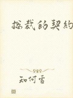 总裁的契约妻