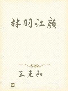林羽江颜封面