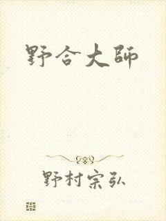 野合大师封面