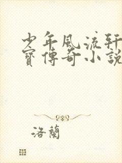 少年风流轩辕大宝传奇小说