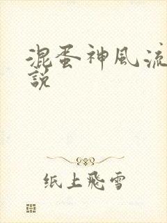 混蛋神风流史小说
