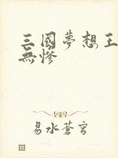 三国梦想王元姬无惨