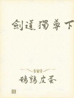 剑道独尊下载