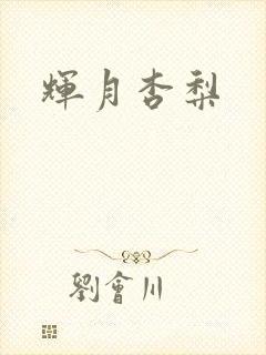 辉月杏梨