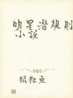 明星潜规则之皇 小说
