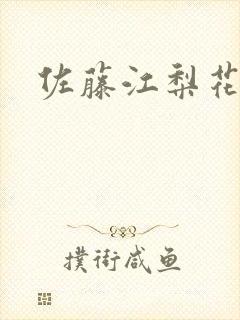 佐藤江梨花封面