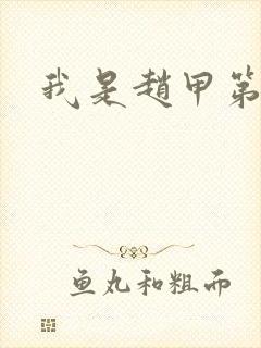 我是赵甲第小说封面