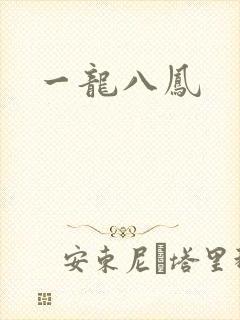 一龙八凤封面