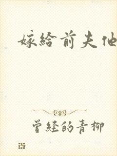 嫁给前夫他爹封面