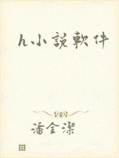 h小说软件