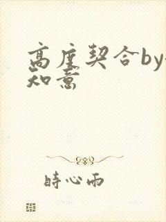 高度契合by洛知意封面