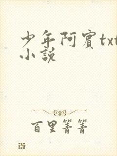 少年阿宾txt小说封面