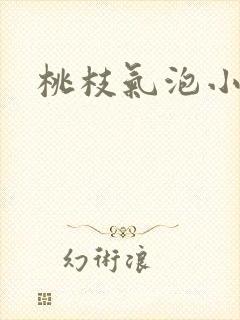桃枝气泡小说封面