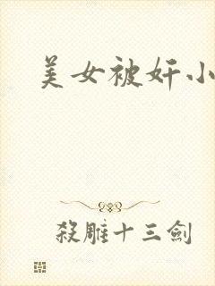 美女被奸小说封面