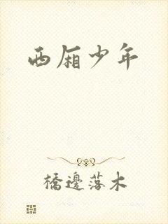 西厢少年封面