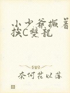 小少爷撅着屁股挨C双龙