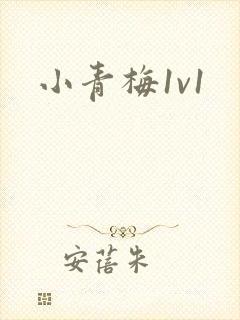 小青梅1v1