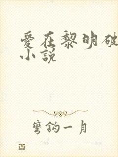 爱在黎明破晓前小说