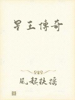 星王传奇