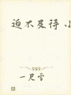 迫不及待 小穴