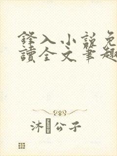 锋入小说免费阅读全文笔趣阁封面