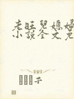 老旺儿媳妇秦雨小说全文免费阅读封面