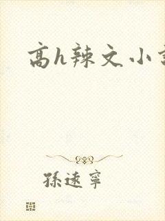 高h辣文小说