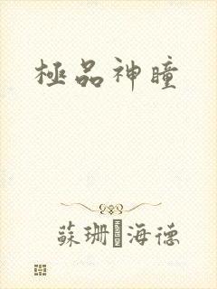 极品神瞳