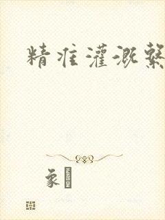 精准灌溉系统