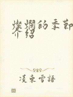 灿烂的季节剧情介绍