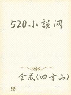 520小说网