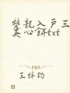 双龙入户三人行夹心饼txt