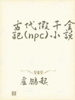 古代假千金挨日记(npc)小说