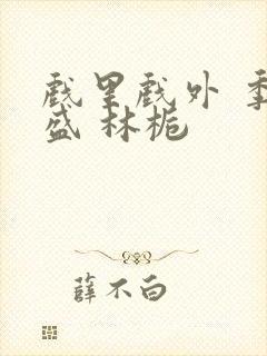 戏里戏外 季淮盛 林栀封面