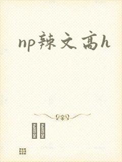 np辣文高h